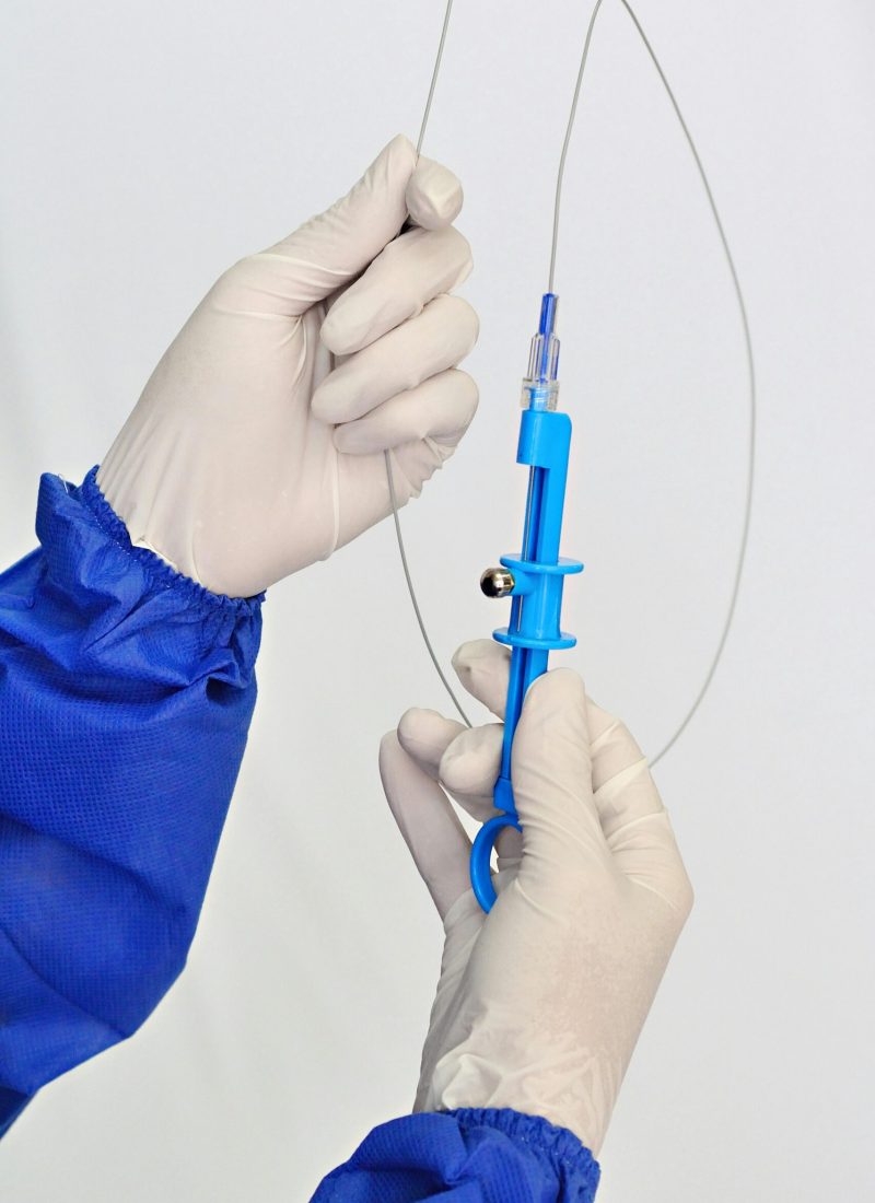 pexels-davegarcia-35609681