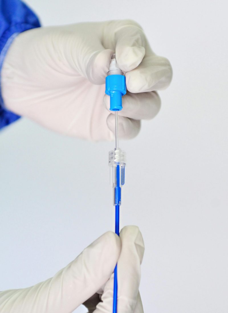 pexels-davegarcia-35609692