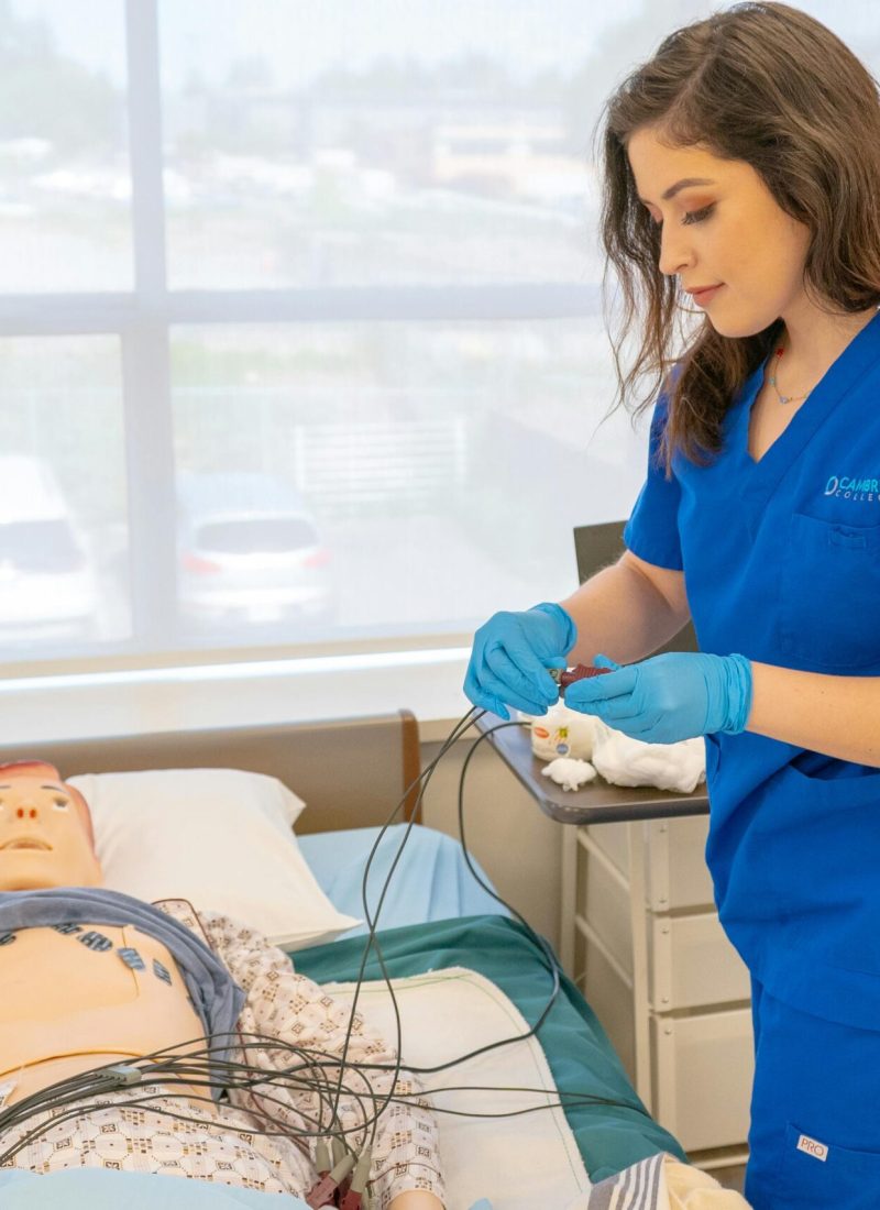 pexels-sahilcaptures-35645513